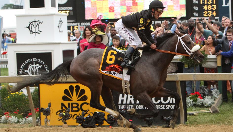 Oxbow, Gary Stevens, Calumet Farm, Preakness Stakes, The Scream, Pimlico, Eclipse Sportswire